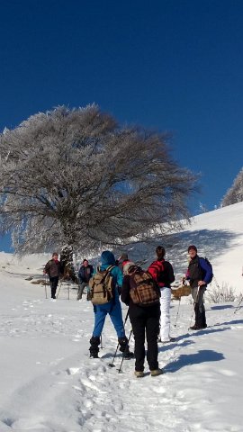 Piani di Artavaggio (11)